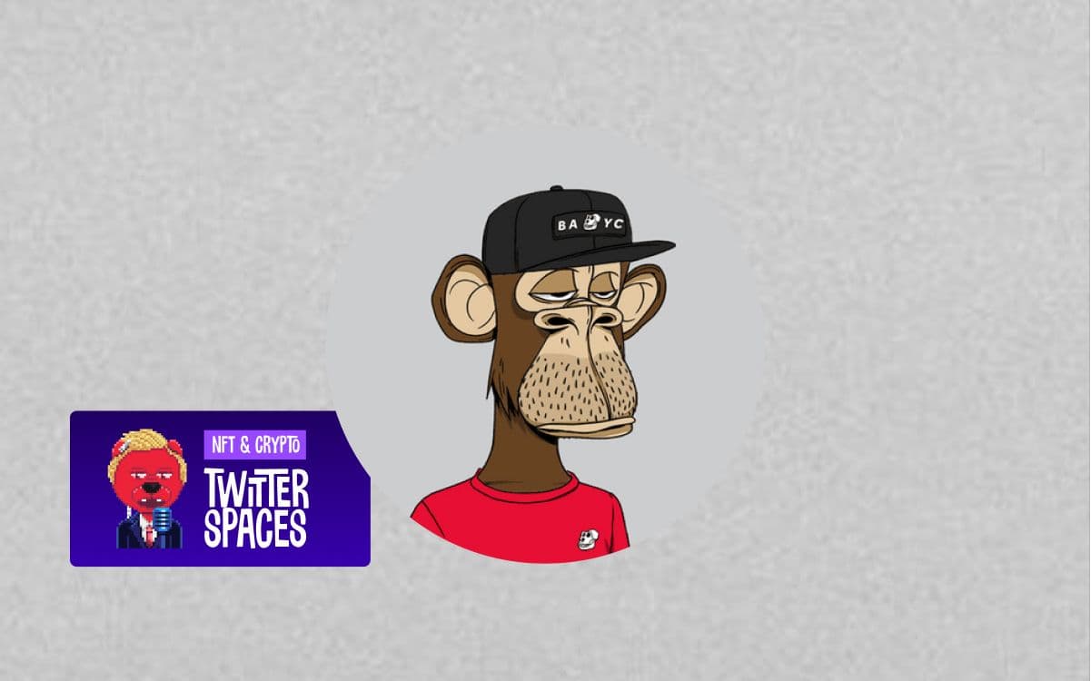 CryptoPunks, Bored Apes and XCOPY Art... Live Interview with BAA.eth